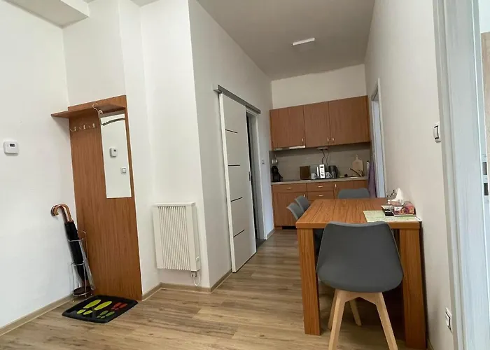 Pohoda U Zofina アパート Benešov nad Černou