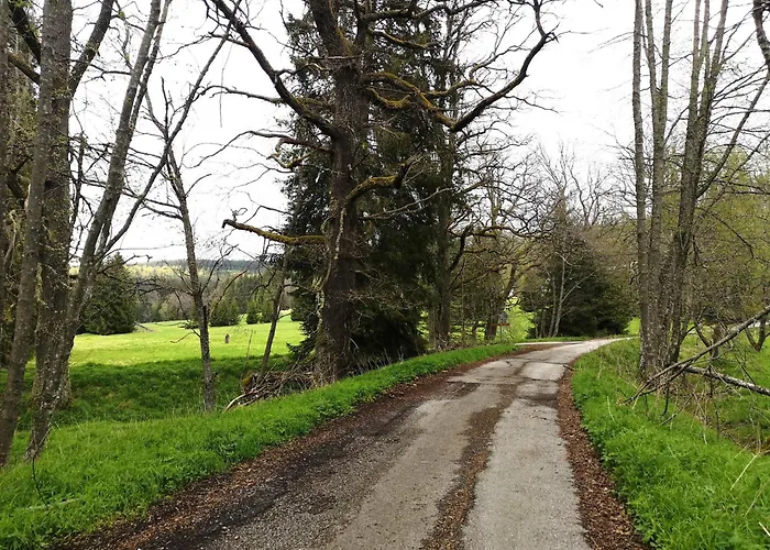 Pohoda U Zofina * Benešov nad Černou